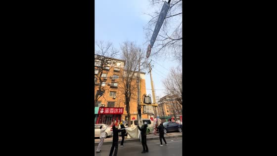 People catch cat with blanket after guiding it down from tree in Liaoning, China
