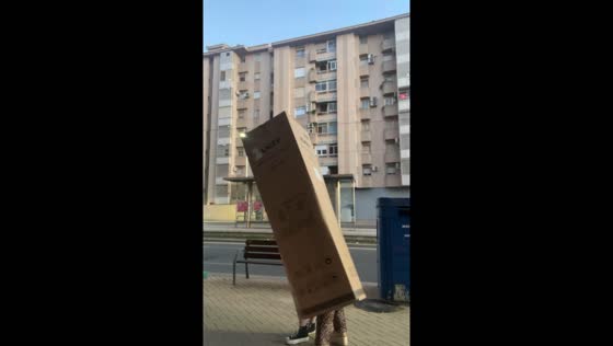 Hilarity ensues as duo tumble in box mishap