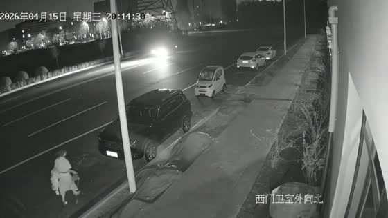 Woman falls into roadside pit while approaching car in Hebei, China