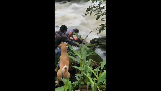 Dramatic river rescue unfolds in Valle del Cauca