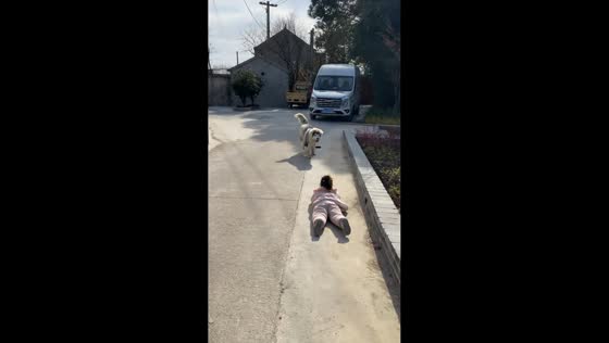 Toddler falls while being pulled by pet dog, dog returns to comfort in Jiangsu, China