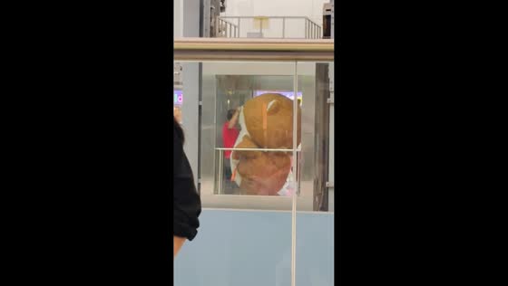 Mascot struggles to fit in elevator in Quezon City, Philippines