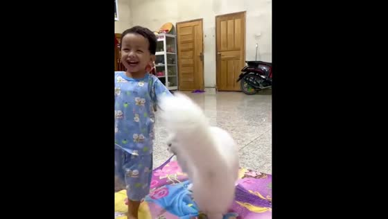 Toddler plays with white cat in South Bangka, Indonesia