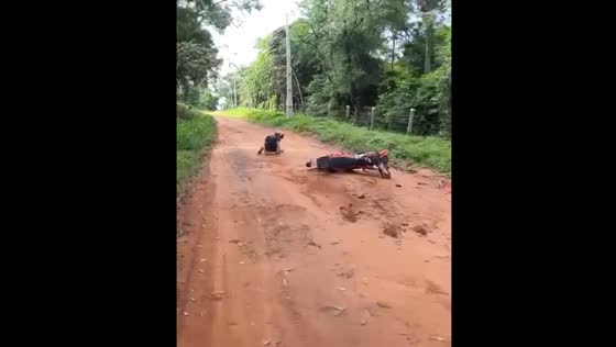 Motorcycle accident in Asunción involving inexperienced rider