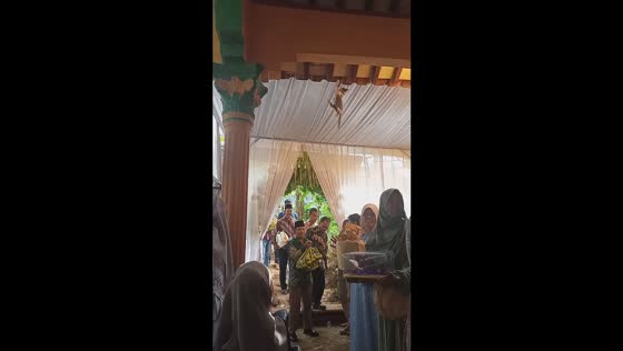 Wedding cat mishap: feline interrupts gift exchange