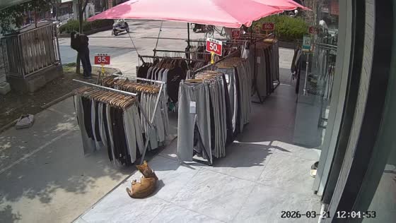 Tree falls onto clothing stall, startling nearby dog in Jiangsu, China