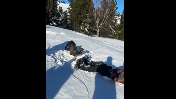 Capercaillie playfully pecks at fallen skier in Hungary