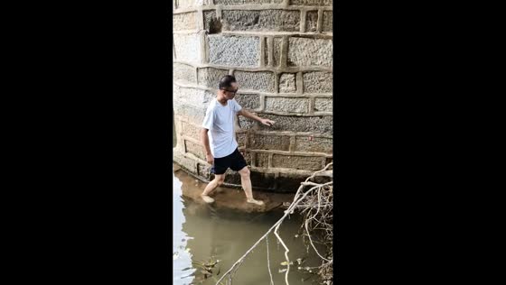 Man rescues two kittens on bridge pier in Hubei, China