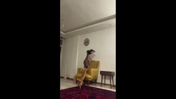 Playful cat gently chases girl in Mashhad, Iran