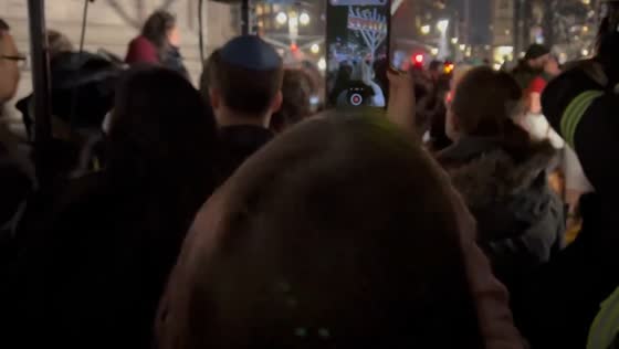Wallace Shawn delivers powerful message on American history and Gaza conflict at Columbus Circle event
