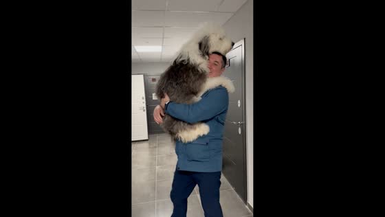 Dog's joyful reunion with owner after vacation in Petrozavodsk, Russia
