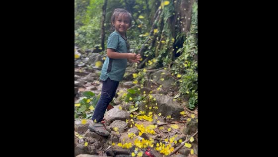 Child surrounded by yellow butterflies at waterfall in West Kalimantan
