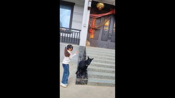 Goat mimics girl sliding down stairs in Guangxi, China