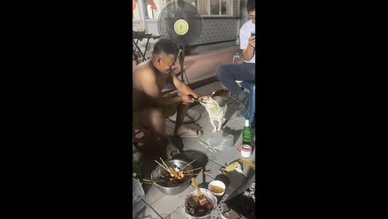 Hungry dog joins backyard barbecue in Hebei, China