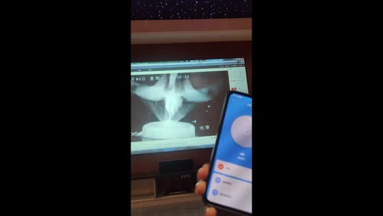 Bird startled by remote-controlled water prank in Jiangsu, China