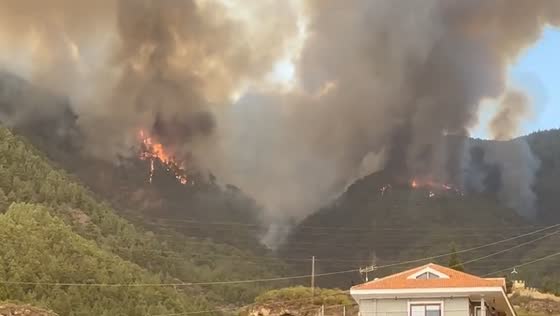 Devastating wildfire engulfs Tenerife: largest and most complex blaze in four decades