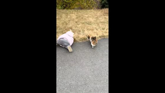 Cat mimics child after playful tumble during outdoor fun in Jiangxi, China