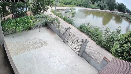 Vehicle falls into fish pond in Sichuan, China