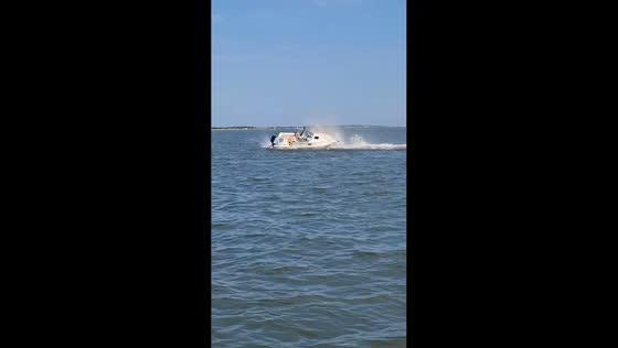 Whale collides with boat, throwing woman overboard in Barnegat Bay