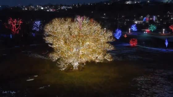 Dazzling delight: Draper Park's spectacular holiday lights illuminate Utah's festive spirit