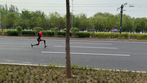 Humanoid robot “Lightning” runs in Beijing Robot Half Marathon, China