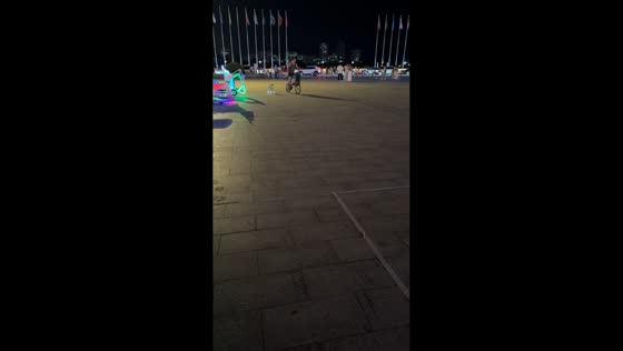 Dog rides on skateboard pulled by bicycle along street in Liaoning, China