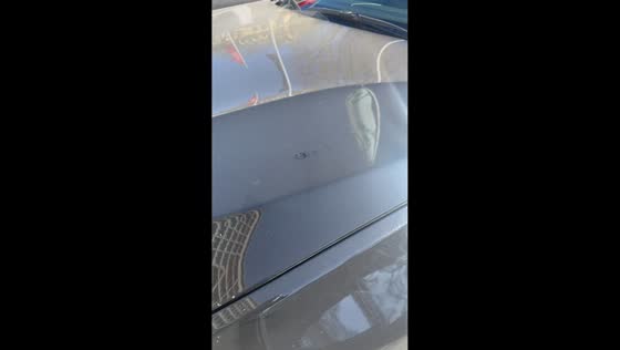 Tiny fiber moves through circle on car hood in Oslo, Norway