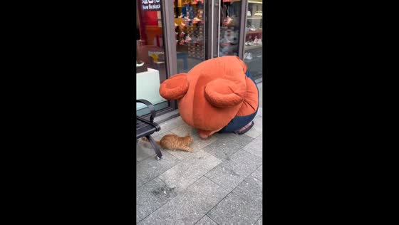 Mascot and cat playfully fight over food in Jiangsu, China