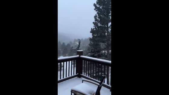 Heavy snowfall blankets Woodland Park, Colorado, USA