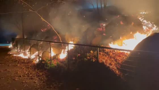 Brush fire ignites in Brooklyn's Prospect Park