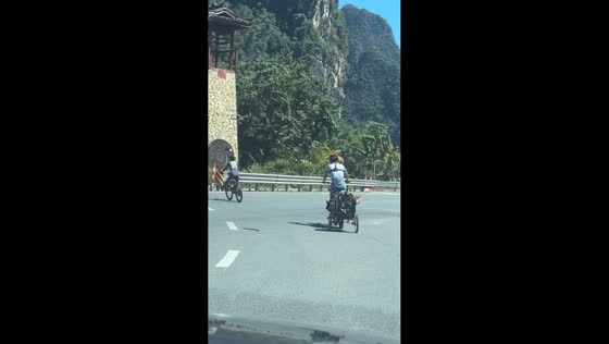 Dog falls out of a cart while its owner turns a corner in Guangzhou, China
