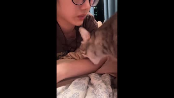 Playful mutual biting between owner and cat in Shandong, China