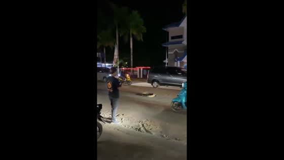 Large monitor lizard spotted in the middle of the road in Mempawah, Indonesia