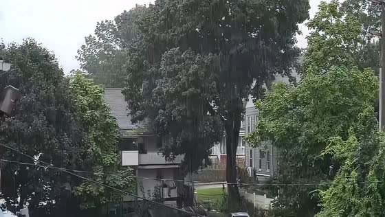Torrential downpour creates near-whiteout conditions in Jewett, USA
