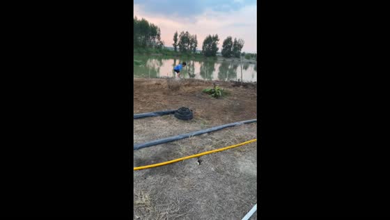 Boy faces an aggressive goose near a pond in Zhanjiang, China