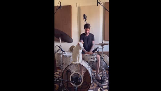 Deaf cat finds serenity in vibrations: music practice lulls Edgar to sleep