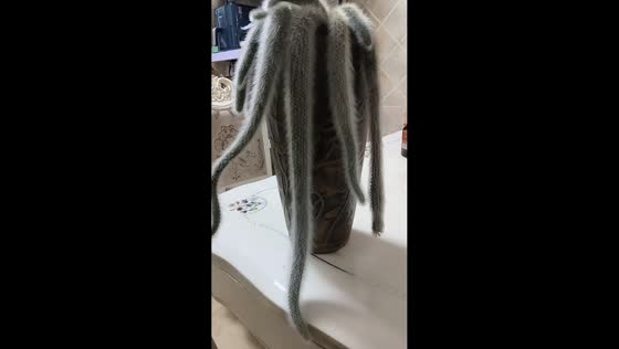 Frostbitten cactus roots ignite in a controlled demonstration in Jilin, China