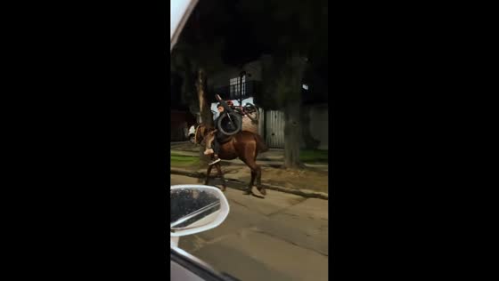 Two boys ride horse while carrying bicycle in Buenos Aires, Argentina
