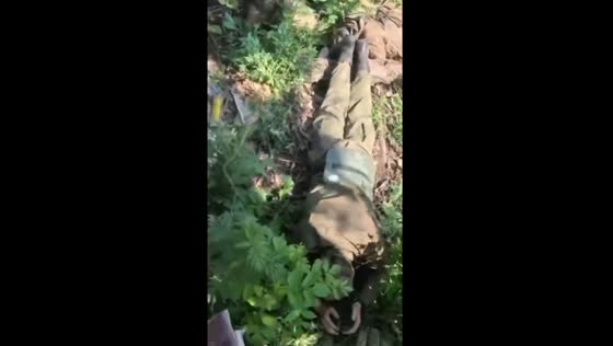 Footage from the frontlines: prisoners captured and transferred amidst ongoing conflict in Bakhmut, Ukraine