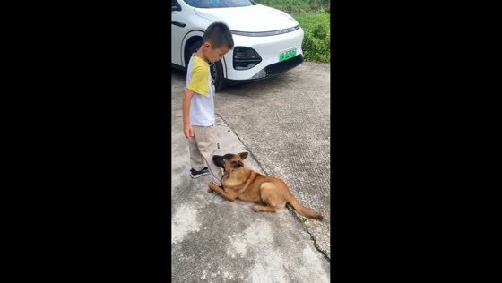 Dog refuses to let go of boy’s leg in Hunan, China