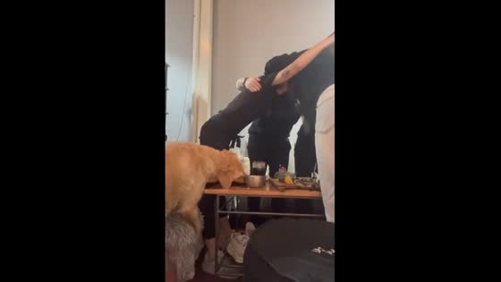Dog steals food during goal celebration in Buenos Aires