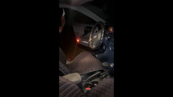 Spider crawls inside car steering wheel in in Sary-Chelek, Kyrgyzstan