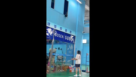Playful cat joins badminton game in Shandong, China