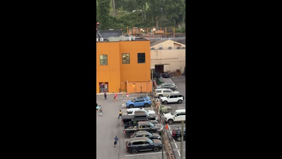 Bear runs through parking lot in Gatlinburg, Tennessee, USA