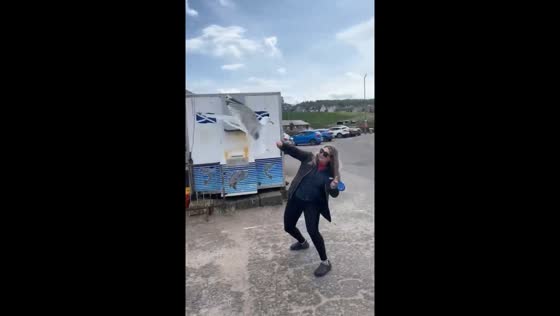 Seagull vs. ice cream: Eyemouth harbor encounter
