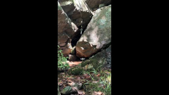 Dragonfly hovers beside a water stream in Zhejiang, China