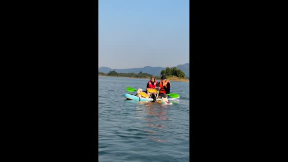 Dogs cause splashy chaos after jumping into water during paddleboard encounter in Hubei, China