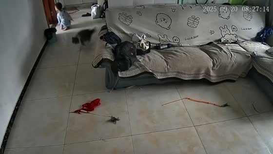 Energetic cat knocks child off balance in Jiangsu, China