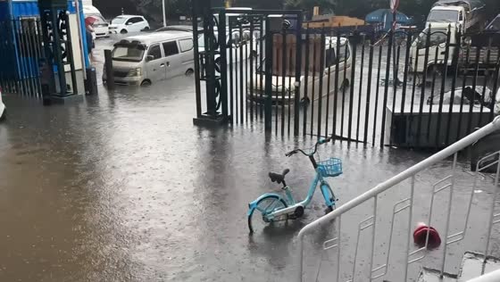 Red-alert rainstorm floods homes and streets in Harbin, China