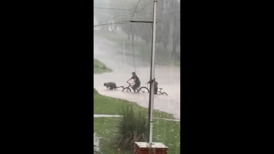 Three cyclists fall while crossing flooded road in Mar del Plata, Argentina